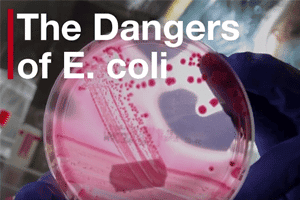 E. coli Outbreak