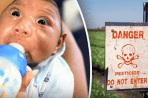Toxic Pesticides Cause Birth Defects