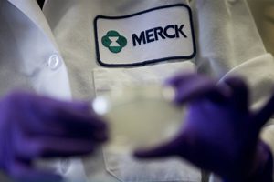 Merck Liable In Death