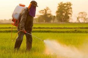 Pesticides Exposure with parkinson's disease