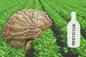 Pesticide Harms Human Brain