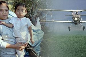 Children's Exposure to Pesticides