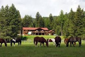 Ranch Sorce Of E Coli