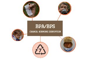 Bpa Implicated In Health Problems