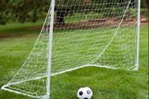Regent sports recalls soccer goal nets following childs death