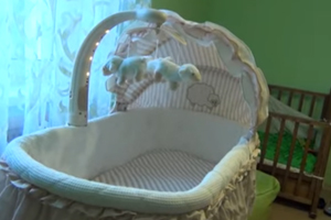 Simplicity bassinet recall sparks lawsuit