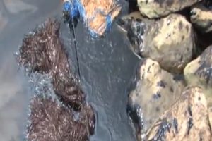 Mississippi River Oil Spill