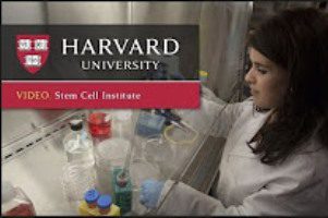 Harvard Hospitals