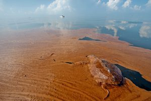 Deepwater Horizon Oil Spill Worst