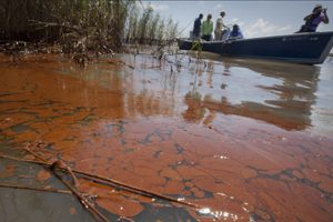 Bp Unprepared For Oil Spill