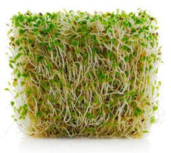 New York Firm Recalls Alfalfa Sprouts, Clover Sprouts for Listeria