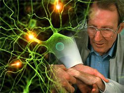 Study Links Roundup Herbicde Chemical to Parkinson's Disease