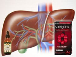 Case Study Links Green Tea Extract in SlimQuick to Liver Injury in 24-Year-Old Woman