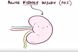 acute-kidney-injury