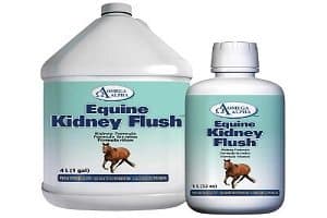 Omega Alpha Kidney Flush