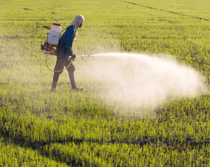 Monsanto's Roundup Herbicide Linked to Leukemia, Lymphoma
