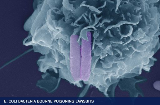 E. Coli Bacteria Borne Poisoning Lawsuits