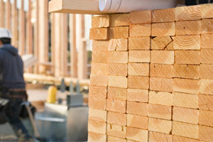 Class action lawsuit: lumber liquidators bamboo flooring