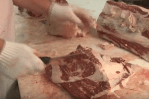 E. Coli Testing of Meat