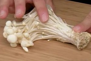Enoki mushrooms recalled over listeria concerns