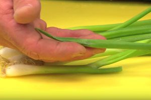 Salmonella Prompts Green Onion Recall