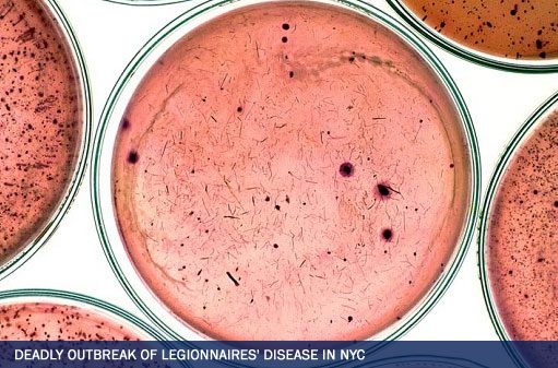 Legionnaires’ Disease Outbreak in NYC