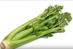 Listeria Tainted Celery