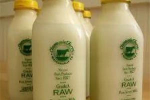Listeria warning for raw milk from upstate ny dairy