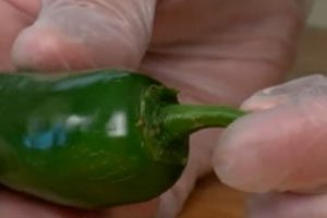Mexican Peppers Still Being Sold Despite Salmonella Risks