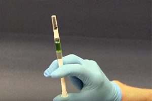 Nevada Hepatitis C Outbreak Tied to Las Vegas Clinic