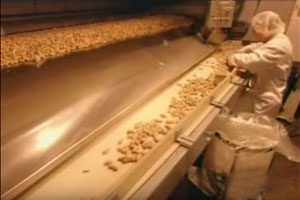 Use of private inspectors tied to peanut corp. illnesses