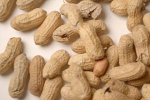 Peanut Corp. Salmonella Toll Mounts