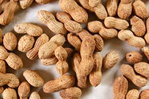 Peanut Salmonella Outbreak