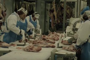 Salmonella Meat Processor