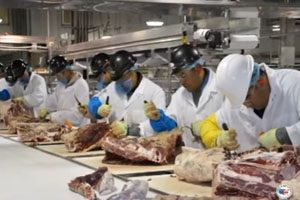 USDA Pressured by Industry to Scale Back Hallmark/Westland Beef Recall