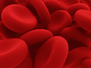 pradaxa antidote bleeding risks blood cells