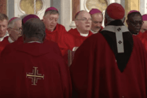 Bishop Abuse Suits