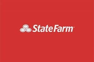 Sue State Farm
