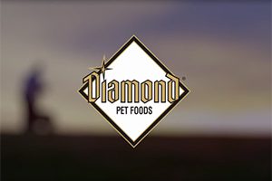 Deadly Dog Food Was Not Properly Tested – FDA