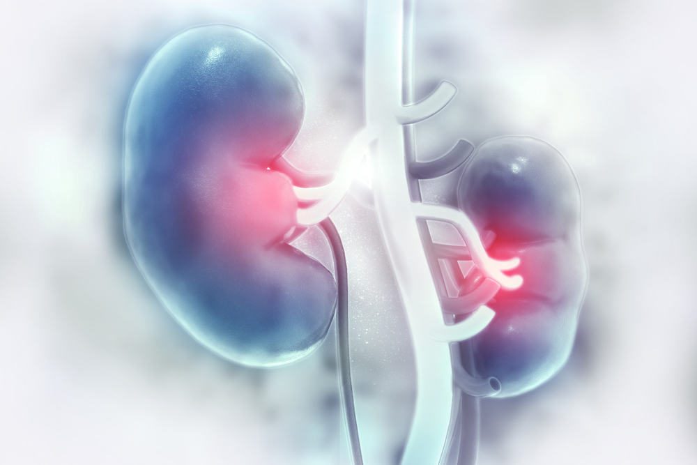 Ohio Man’s Lawsuit Alleges Invokana Responsible for Kidney Failure