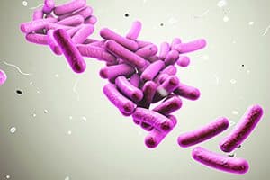 Antibiotic-Resistant Bacteria Increases With Use of Products
