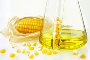Genetically Modified Organism Research Sought Due To Corn