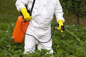 Plaintiffs in Monsanto’s Roundup Lawsuits Press On