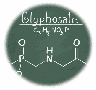 Roundup ingredient Glyphosate