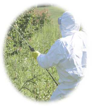 A person in protective gear sprays Roundup on a field. Injuries due to regular use of Roundup can be grounds for a class-action suit.