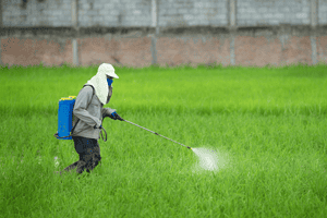 Dangerous Pesticides