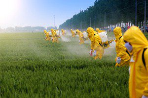 Impact of Pesticides