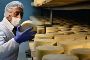 Fatal Accident Kills Man at New York Cheese Company
