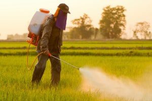 A worker spraying herbicide in a field. He is likely to be protected by the LA County Roundup Ban.