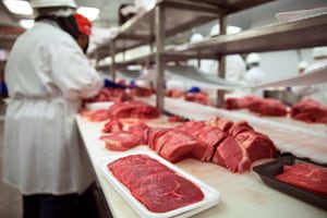 Jbs tolleson beef salmonella contamination